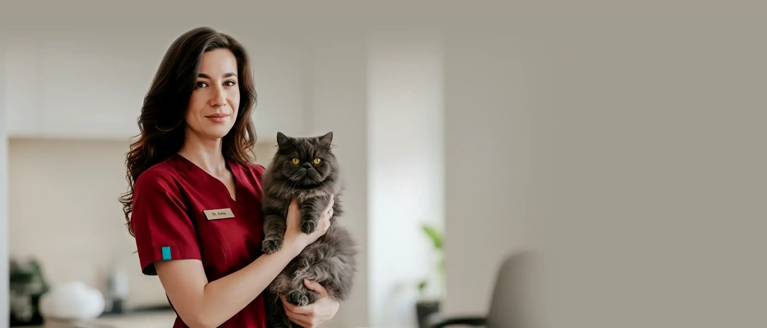 گارفی - حیوانات خانگی - 