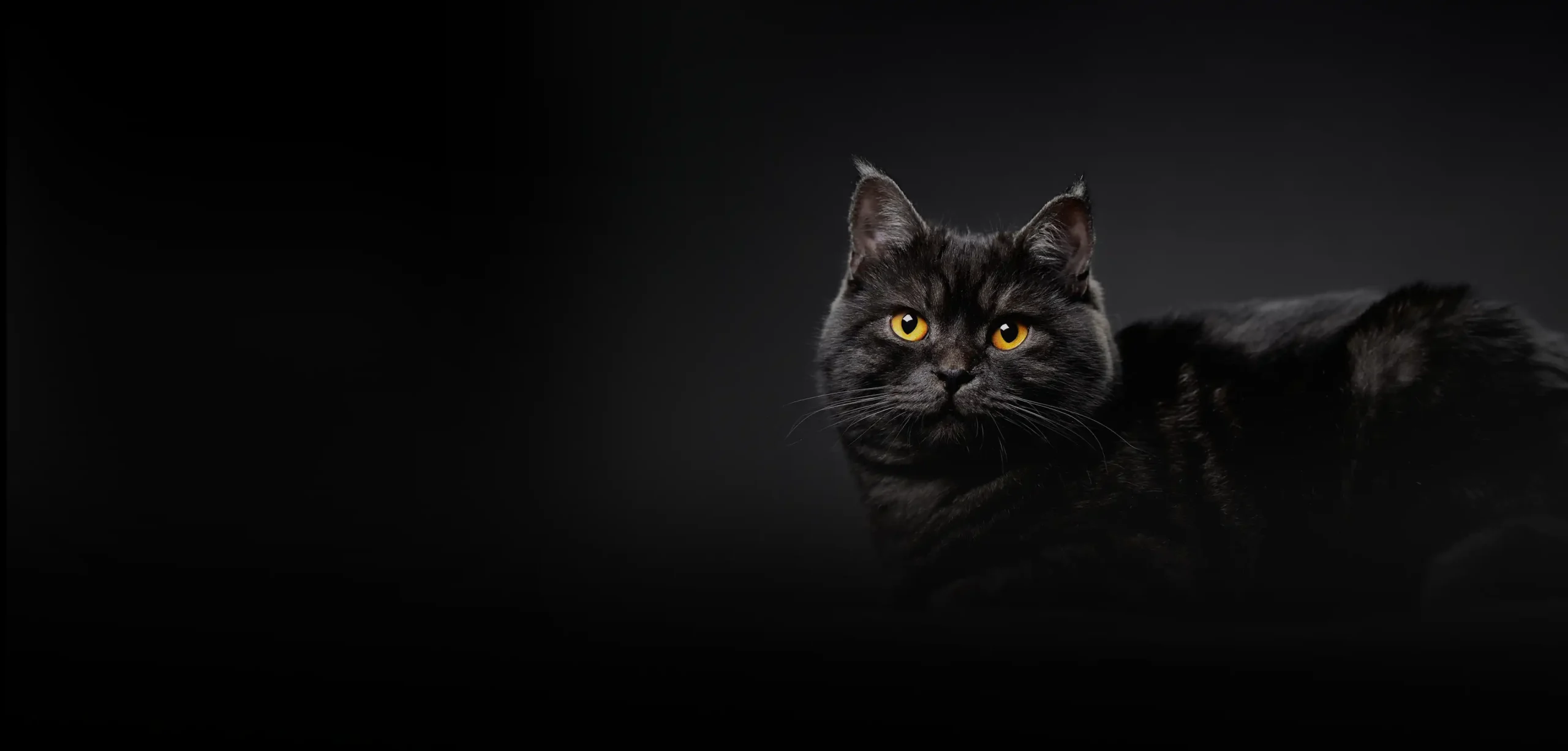 خرید اشتراک