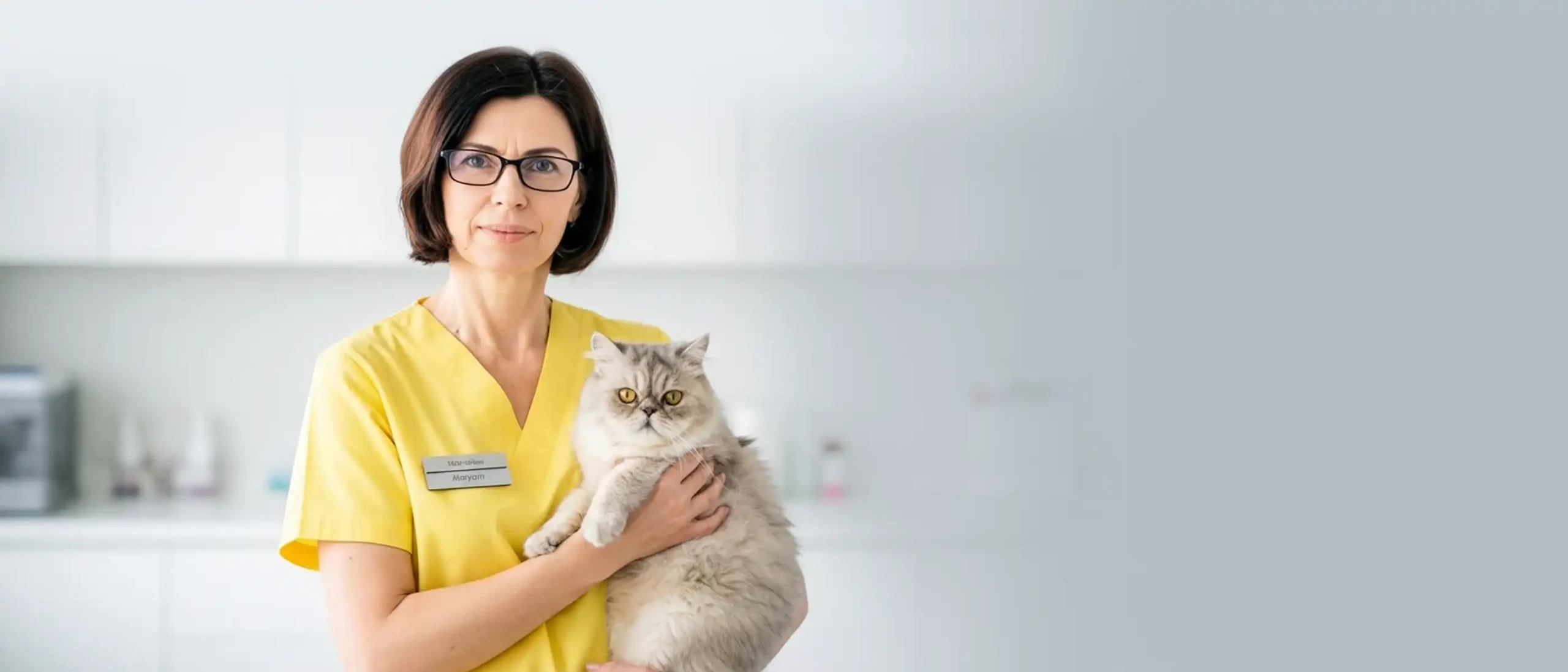 گارفی - حیوانات خانگی - 