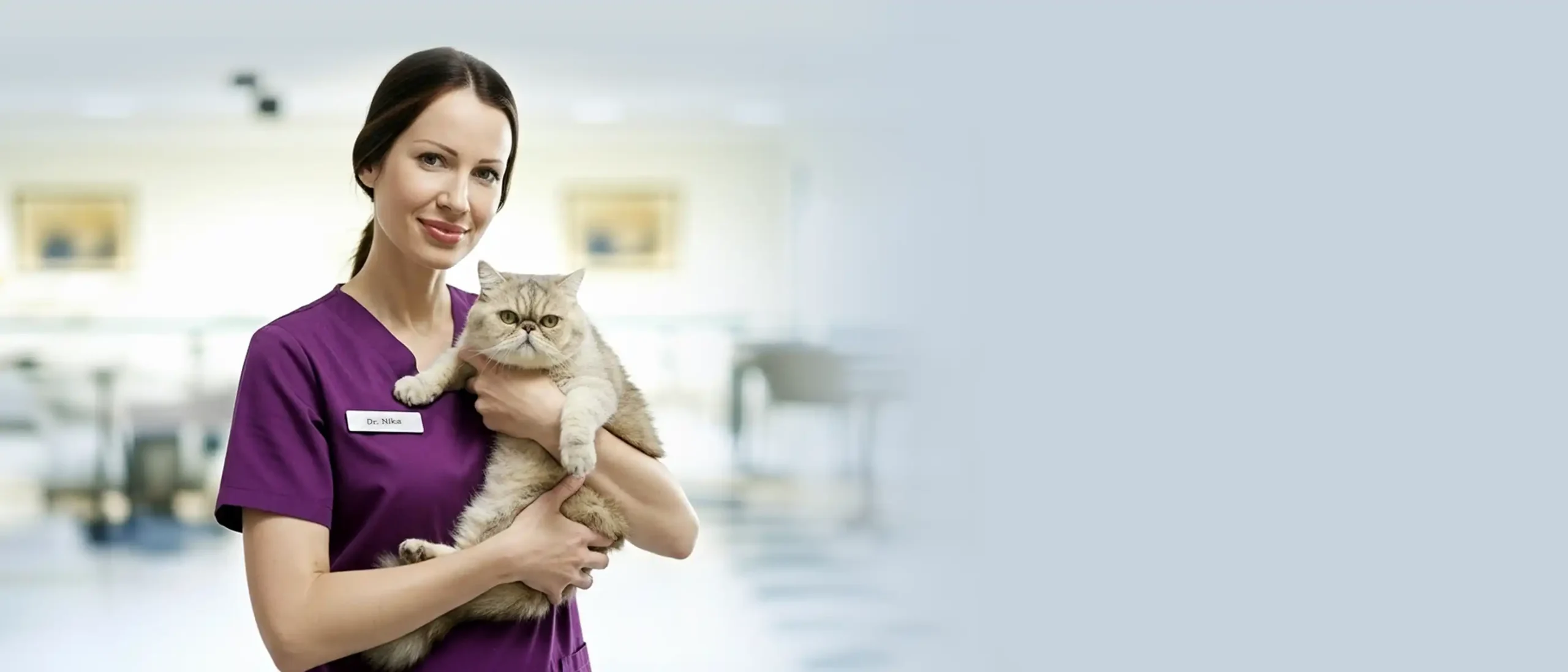 گارفی - حیوانات خانگی - 