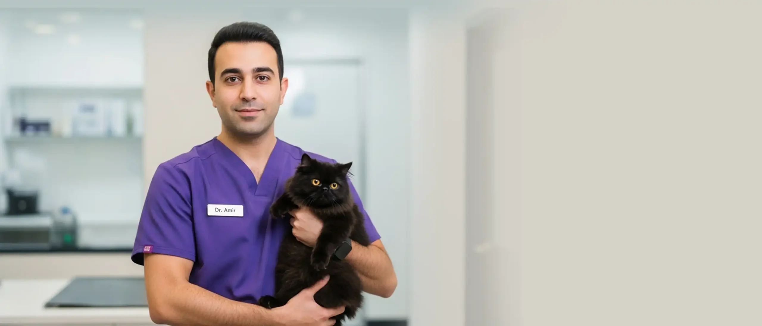 گارفی - حیوانات خانگی - 